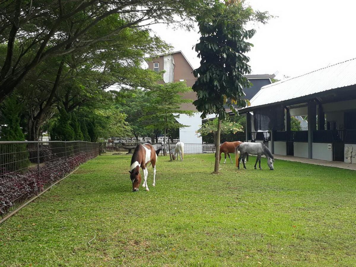 Apm Equestrian Resort Tangerang Eksteriør billede