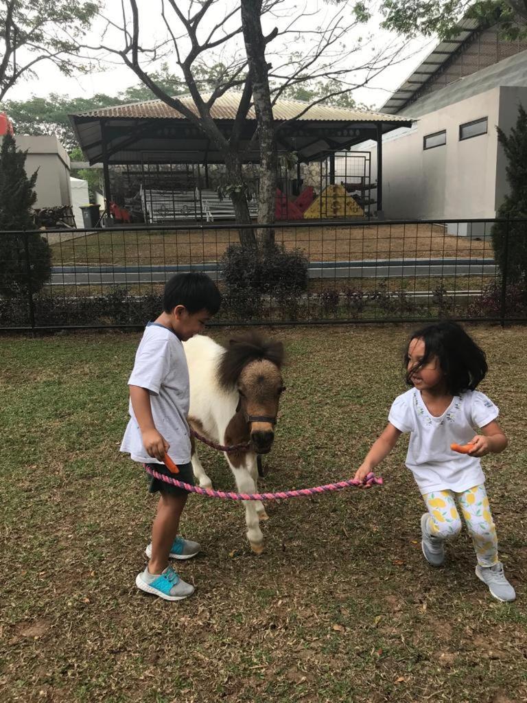 Apm Equestrian Resort Tangerang Eksteriør billede